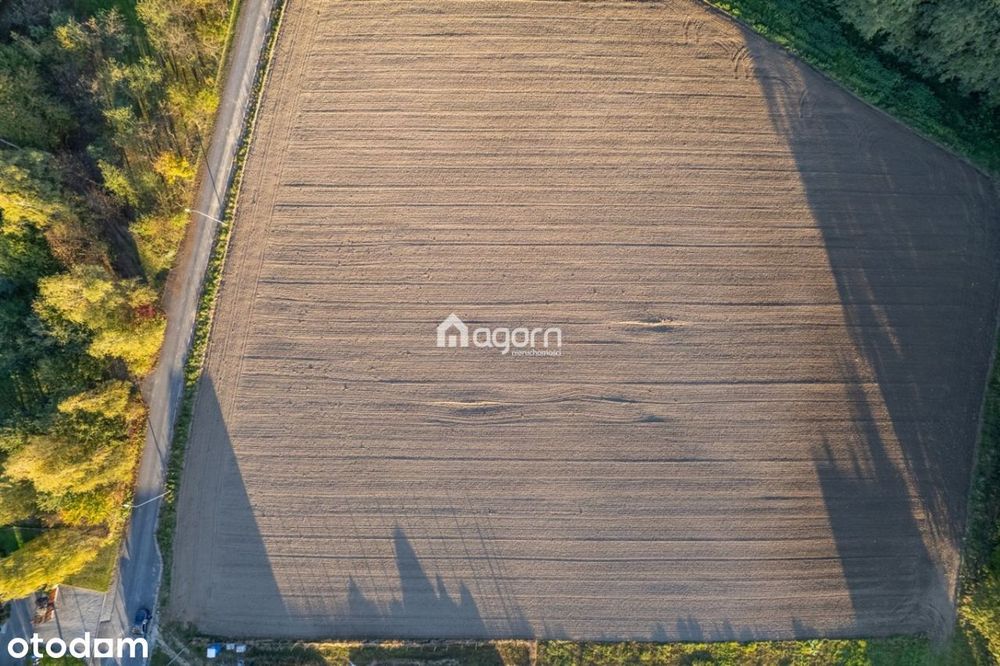 Płaska działka ul. Kromparecka