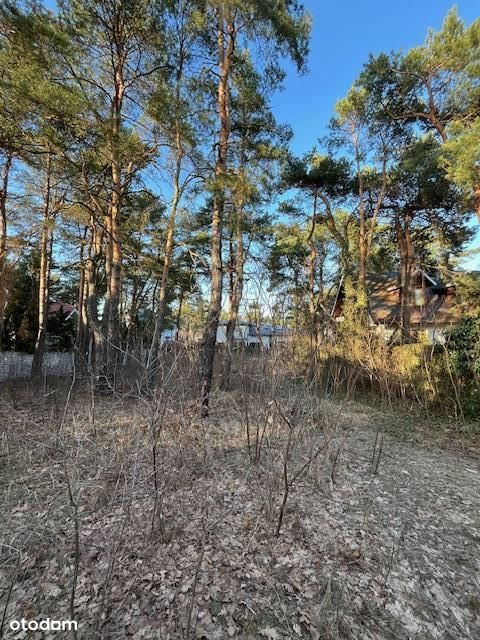 Działka w Wesołej w bardzo dobrej lokalizacji.