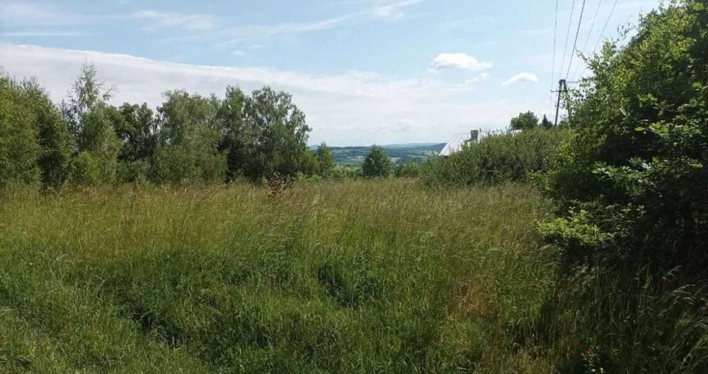 Rzepiennik Strzyżewski – piękna działka budowlana