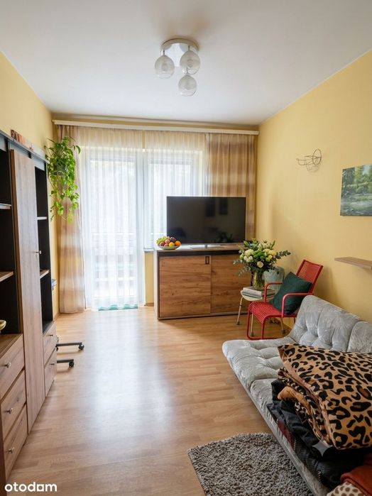 Fantastyczna szeregówka pod lasem