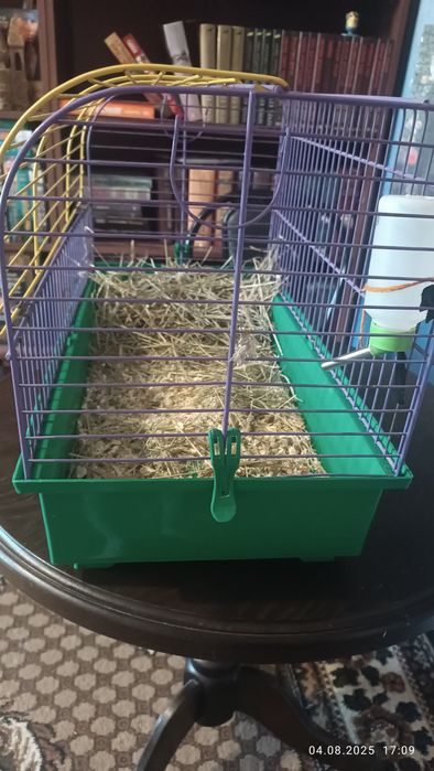 Клетка для грызунов