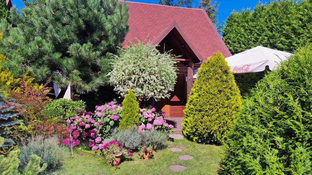 Domki nad morzem z ogródkami 600m od plaży w Ostrowie kolo Karwi