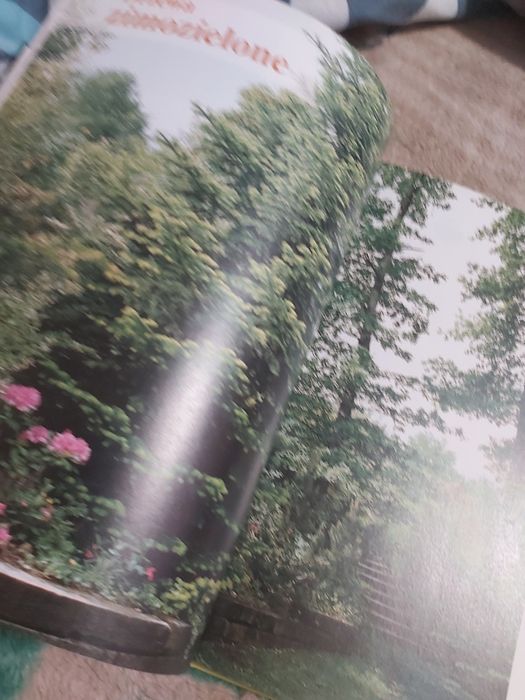Sprzedam nowa książka-Drzewa w ogrodzie