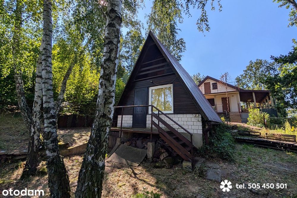 Kilkusetletni Dąb na działce z domkiem nad jeziorem