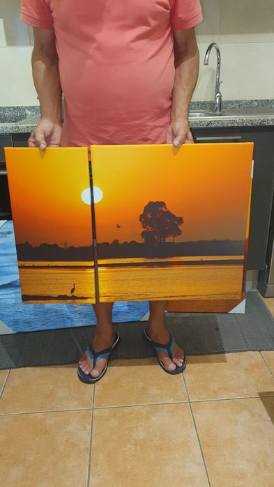 Da foto para o quadro na parede -Impressão em Tela Premium (Vários tamanhos e preços por orçamento)