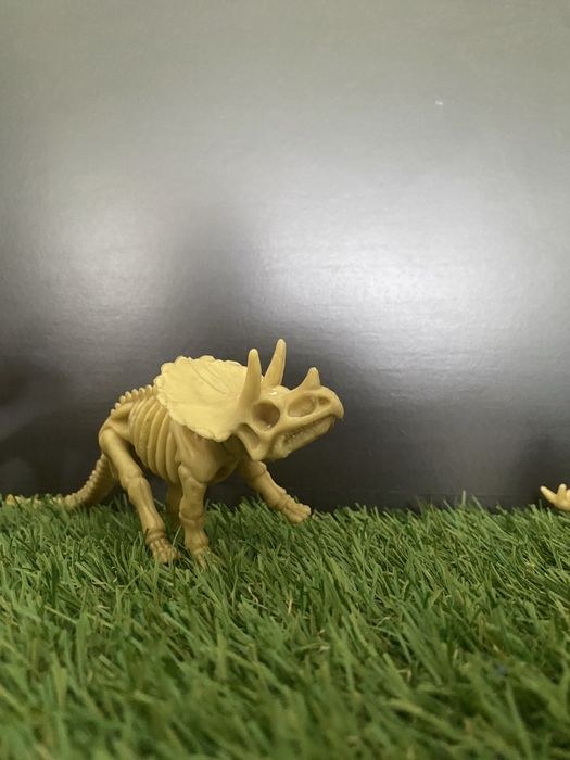 Dinosaur Skeletons64740415236865123