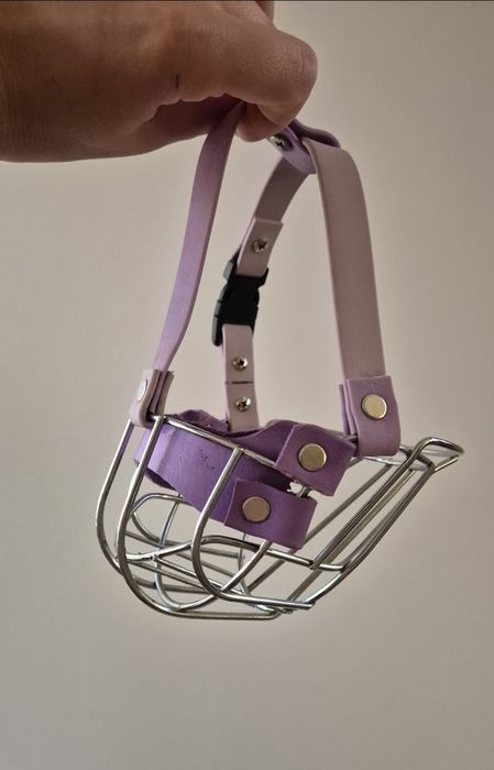 Fizjologiczny kaganiec dla psa brachycefalicznego