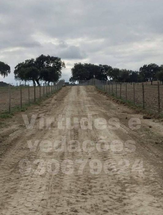 Vedações agrícolas e vinhas