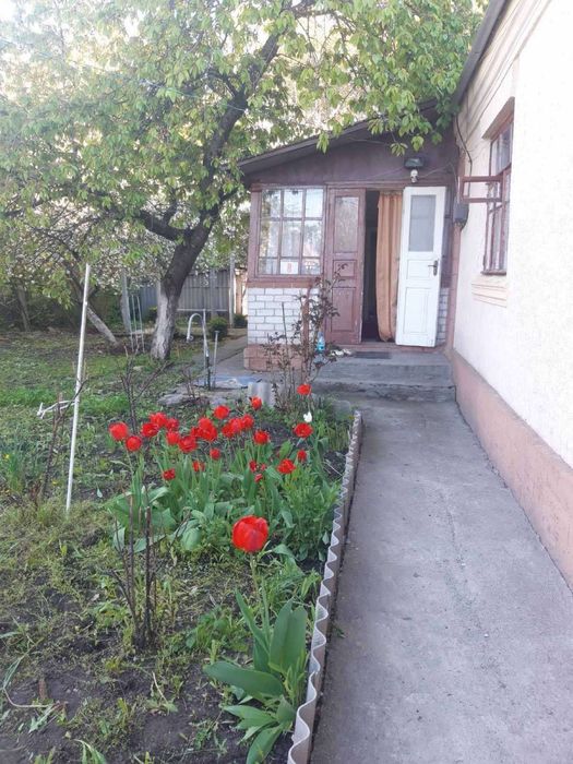 Приватний будинок.Продам або здам.