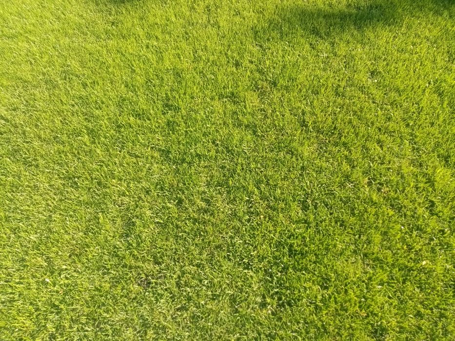 САДОВНИК ;Уход за садом, стрижка, уборка...