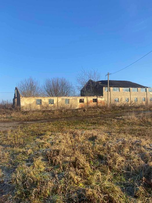 Нежитлові приміщення (ферма)