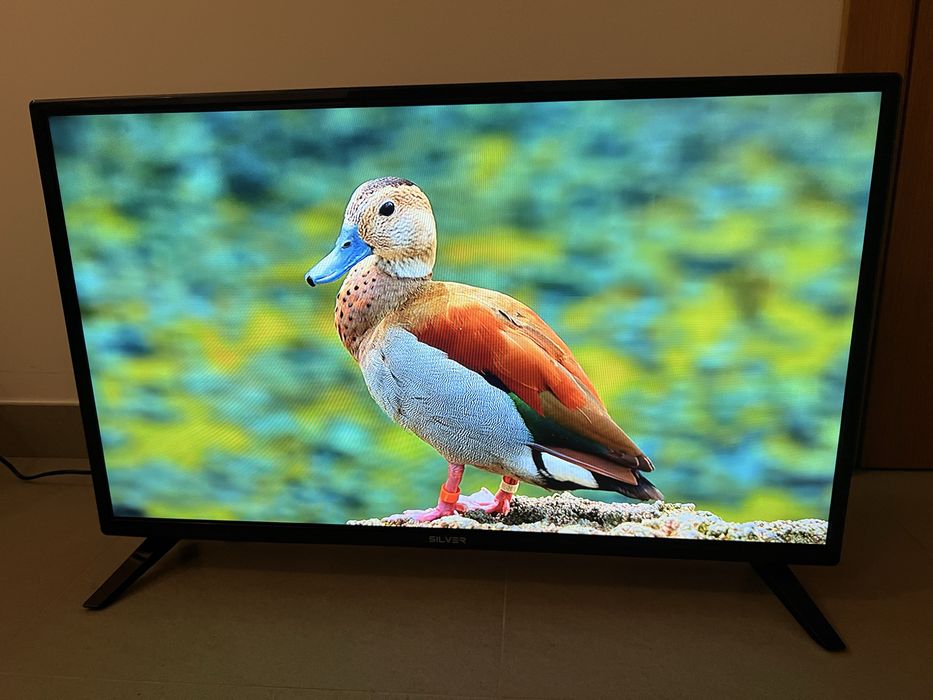 TV Silver + Kit Completo Smart TV e Jogos (Como Novo / Excelente Estado)
