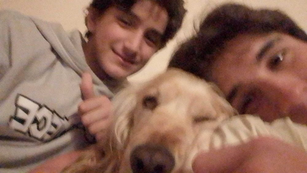 hotel para cachorro479497908042475521
