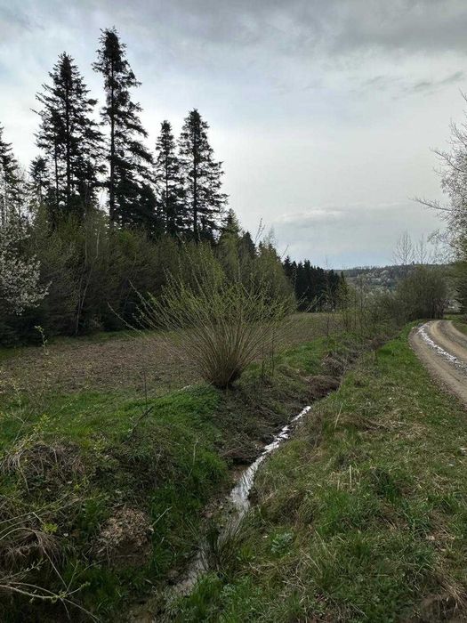 Земельна ділянка в с. Мигово Чернівецької області
