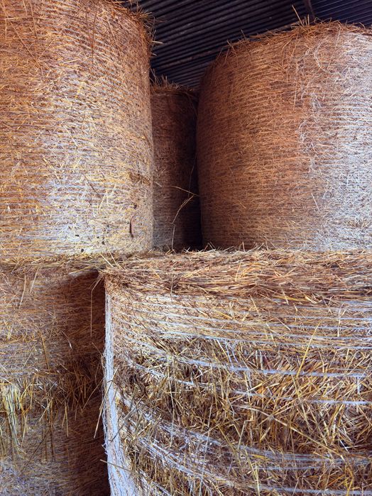 Rolos de Palha para venda