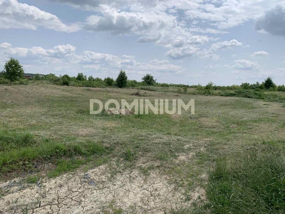 Продаж земельної ділянки м. Виноградів вул. Полунична 7