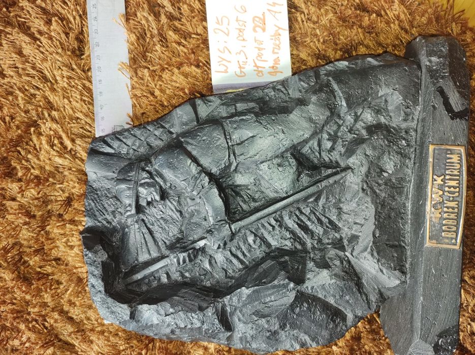 Rzeźba płaska w węglu