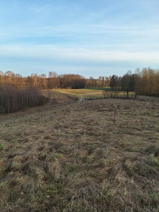 Działka budowlana na Mazurach koło Mrągowa - Widok 2
