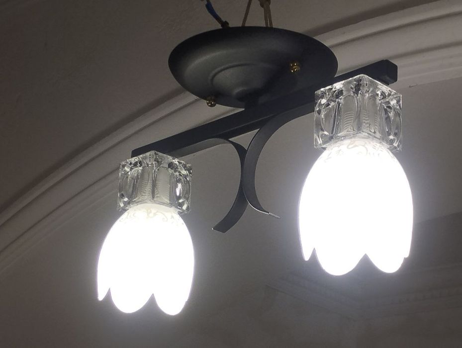 Стельова люстра 2602/2