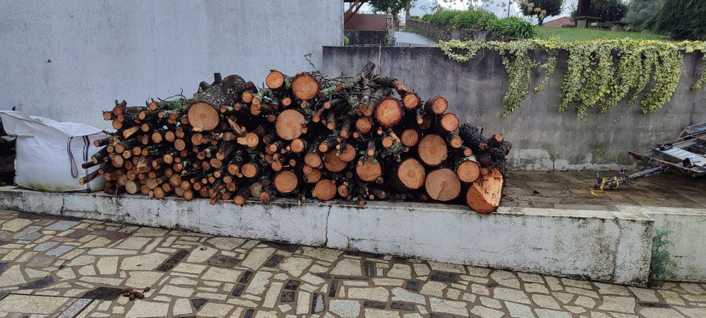 obras e jardinagem