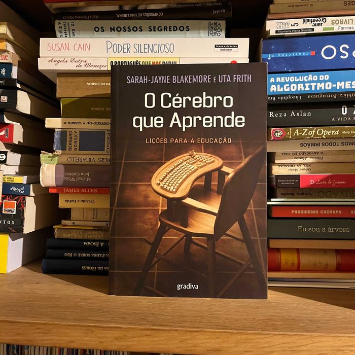 O Cérebro que Aprende - Lições para a Educação (envio grátis)