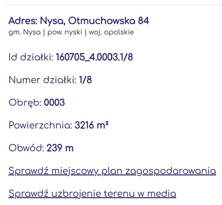 Działka inwestycyjna 3216 m² z zabudową – Nysa, ul. Otmuchowska - View 2