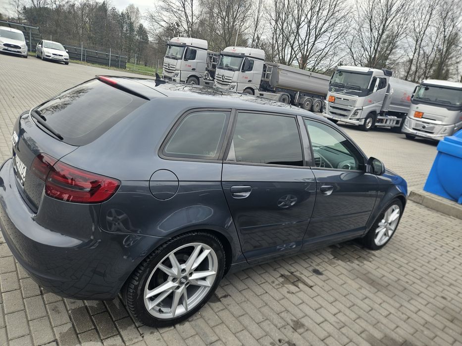 Audi A3 8P 2.0Tdi 170KM