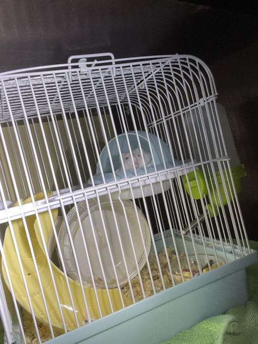 Клетка для хомяка