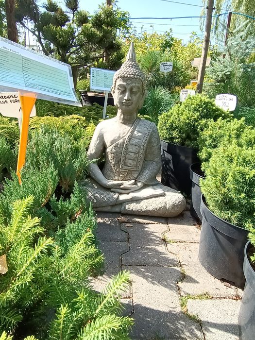 Figura antyczna z betonu Budda