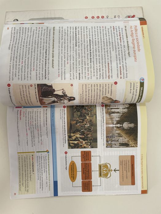 Manual Novo Viva a História 8