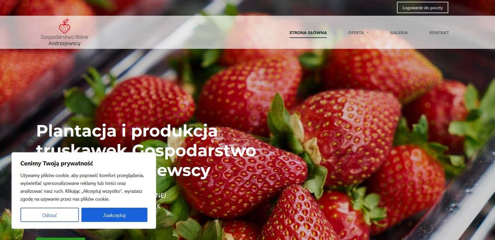 Tworzenie i projektowanie stron | Sklepy www | Pozycjonowanie | Strona