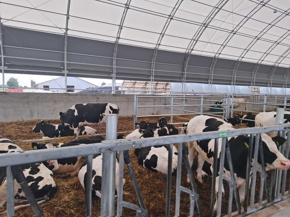 Oryginalne HaleNaBale.pl pod bydło 16x30 wietrz. boczne i kalenicowe