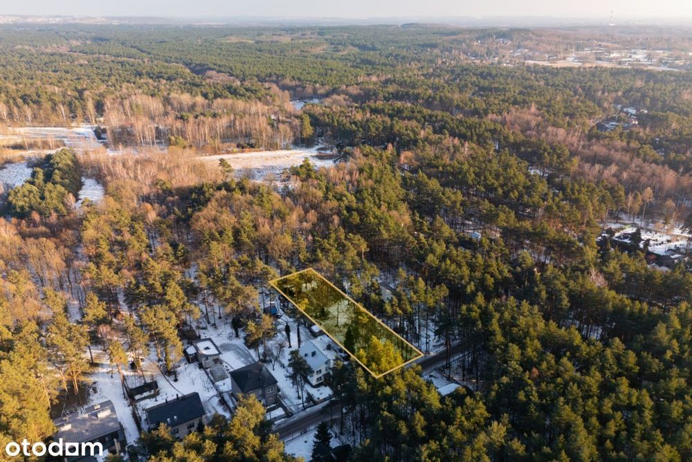 Zbuduj dom w sosnowym lesie – 32 ary ciszy !