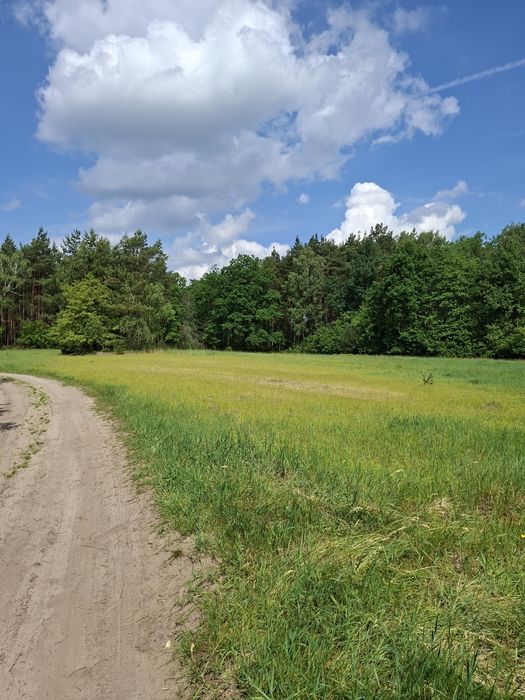 Działka 5300 m2  Jelenie gm. Kraszewice