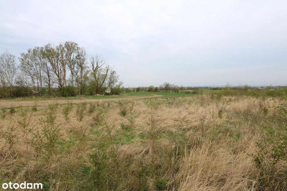 Działka z PANORAMĄ SZCZECINA/ Dzwonić w godz.8-22, także w weekendy.