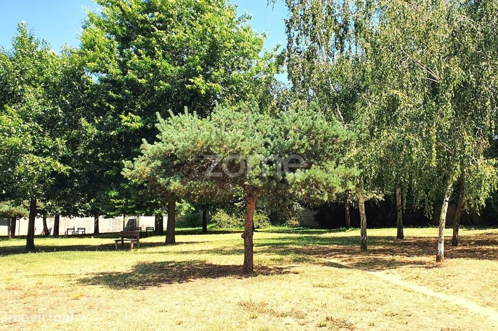 Acolhedor T1, remodelado e bem localizado, em Oliveira do Douro