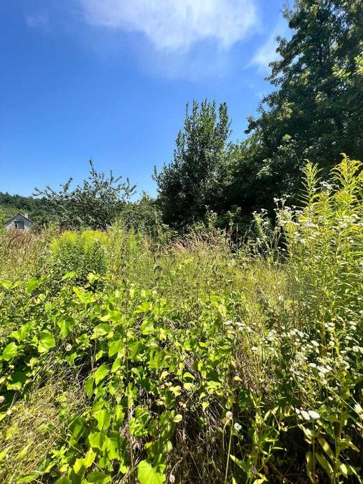 Продаж будинку (дачі) в Старе Село