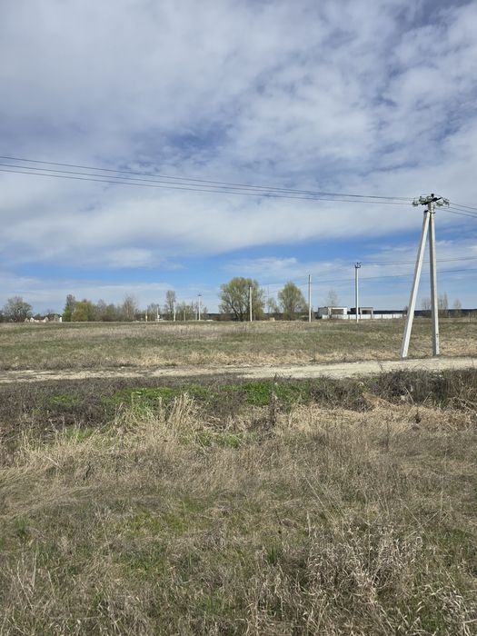 Продажа участка. Вишенки!