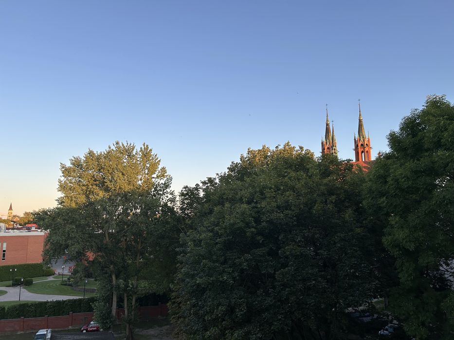 Zdjęcie 8