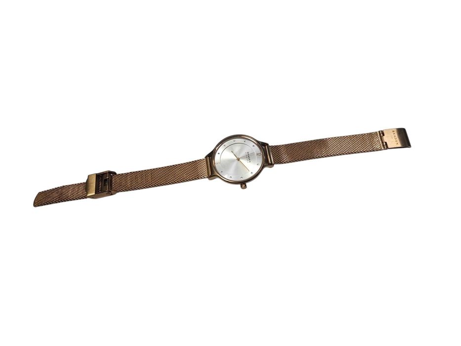 DAMSKI Zegarek SKAGEN SKW2151 Anita