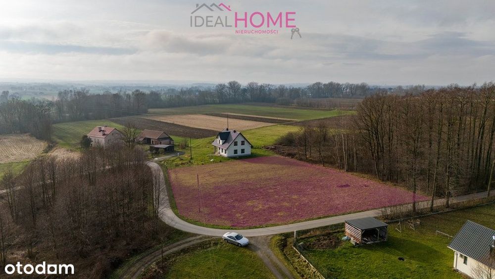 Działka Sędziszów Młp. - 25,09a – pohled 4
