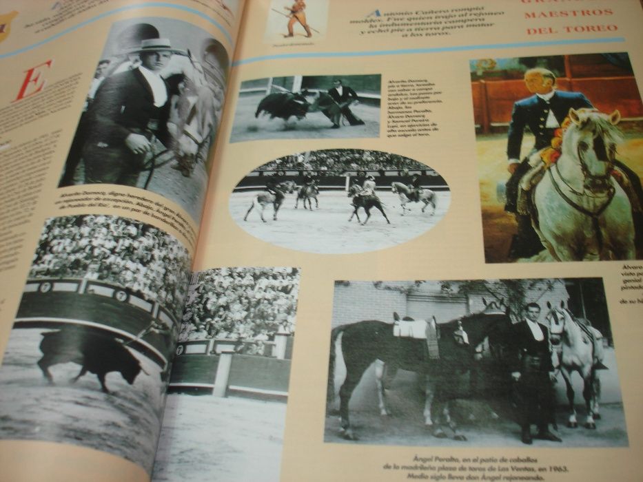 Bons livros a preço especial