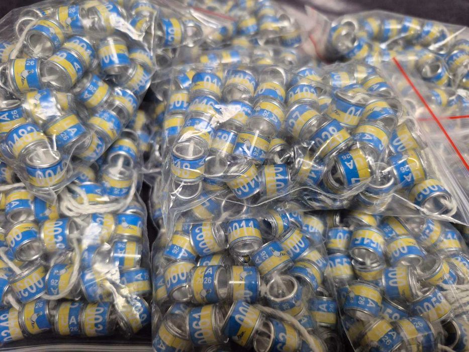 Кільця для голубів  Україна 2026 рік