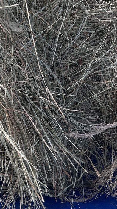Сіно лугове для гризунів   Ароматне пакування 5 кг кг