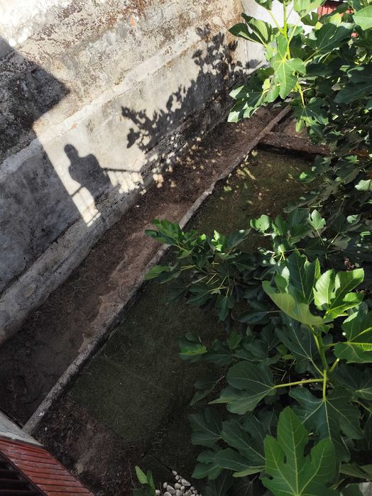 Oportunidade única Casa de campo  t3 com ribeirinho a 2 minutos rio Douro Resende