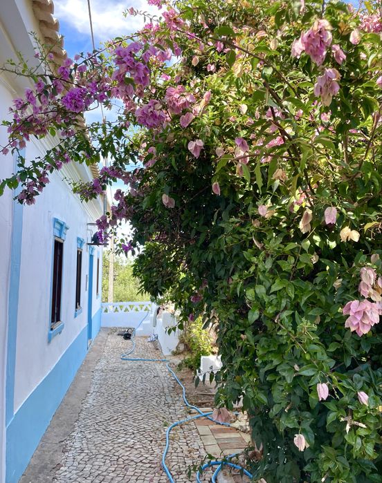 alugo ao ano casa na serra