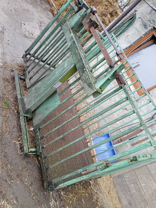 Waga do Żywca do 1500 kg