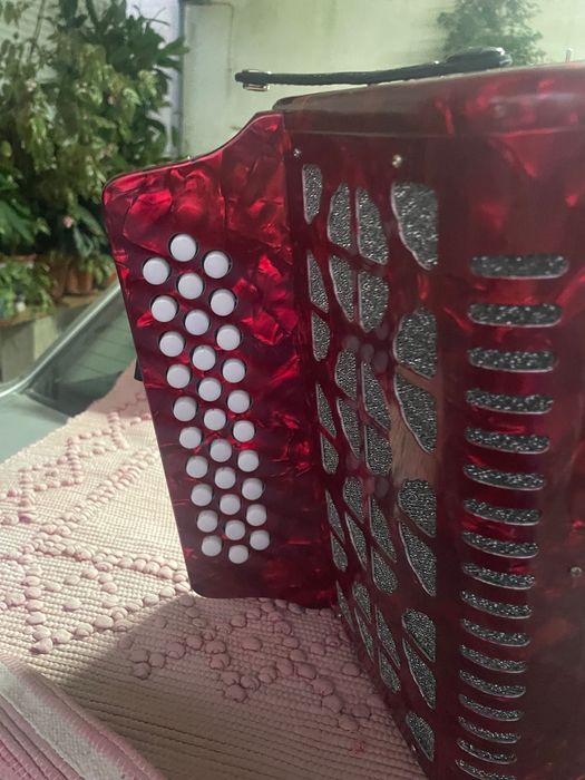 Vendo Concertina Nova