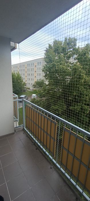 Siatka na balkon, siatka dla kota, siatka przeciw gołębiom
