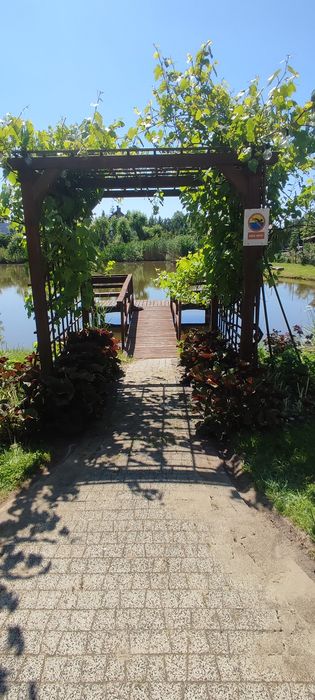 Domek na Mazurach z jacuzzi, sauna, 8 os.  Mrągowo, jezioro 1,2 km